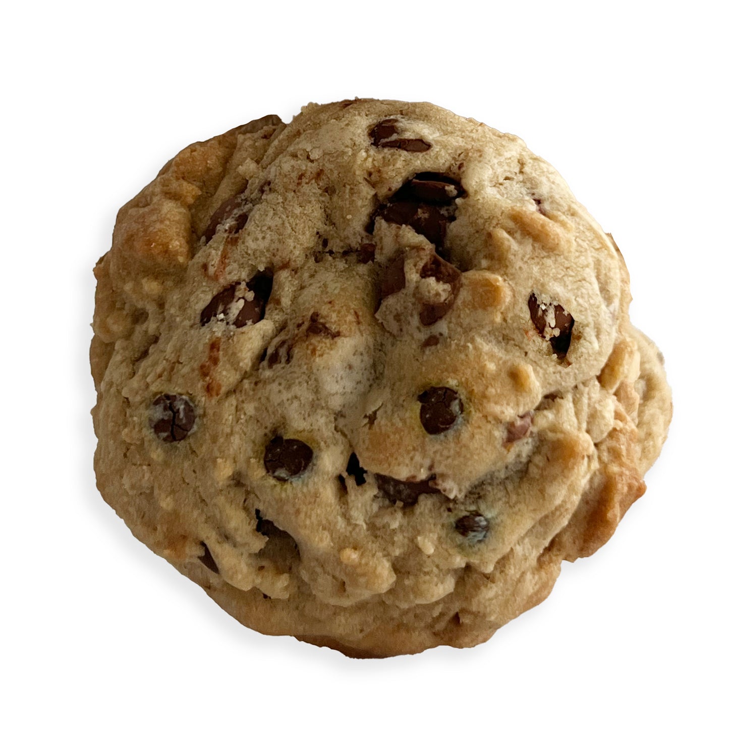 Chocolate Chip Cookie